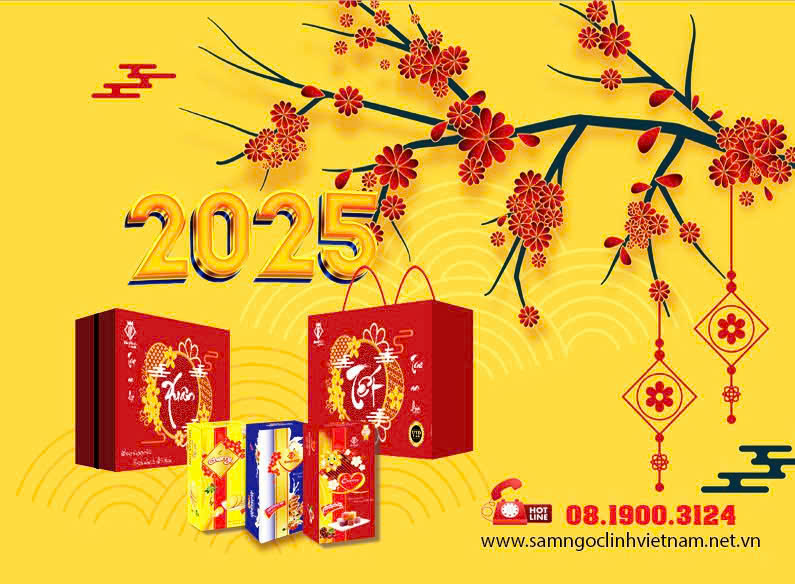 bo-qua-tet-xuan-2025