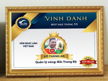 vi-ban-xung-dang-chuc-mung-best-seller-thang-11