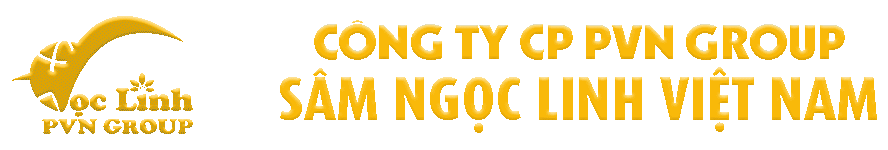 Sâm ngọc linh việt nam